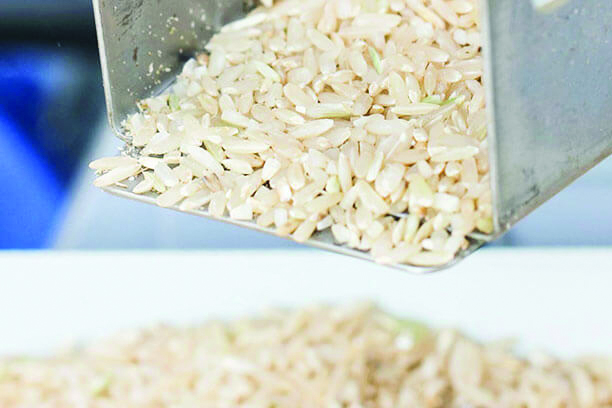 rice process
