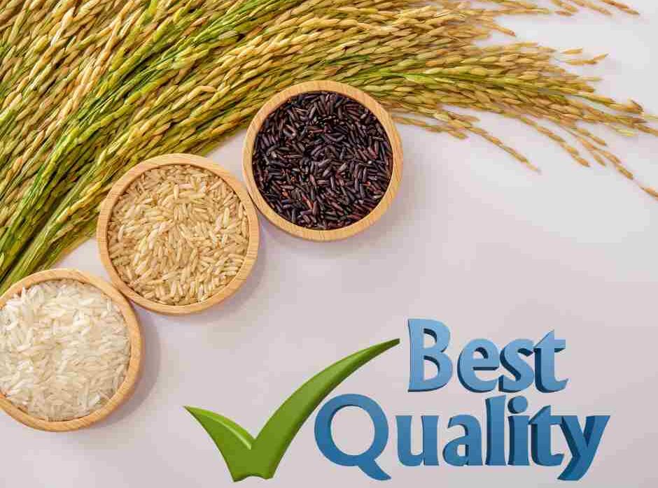 Best Rice Distributors in Karnataka | SrikarRice